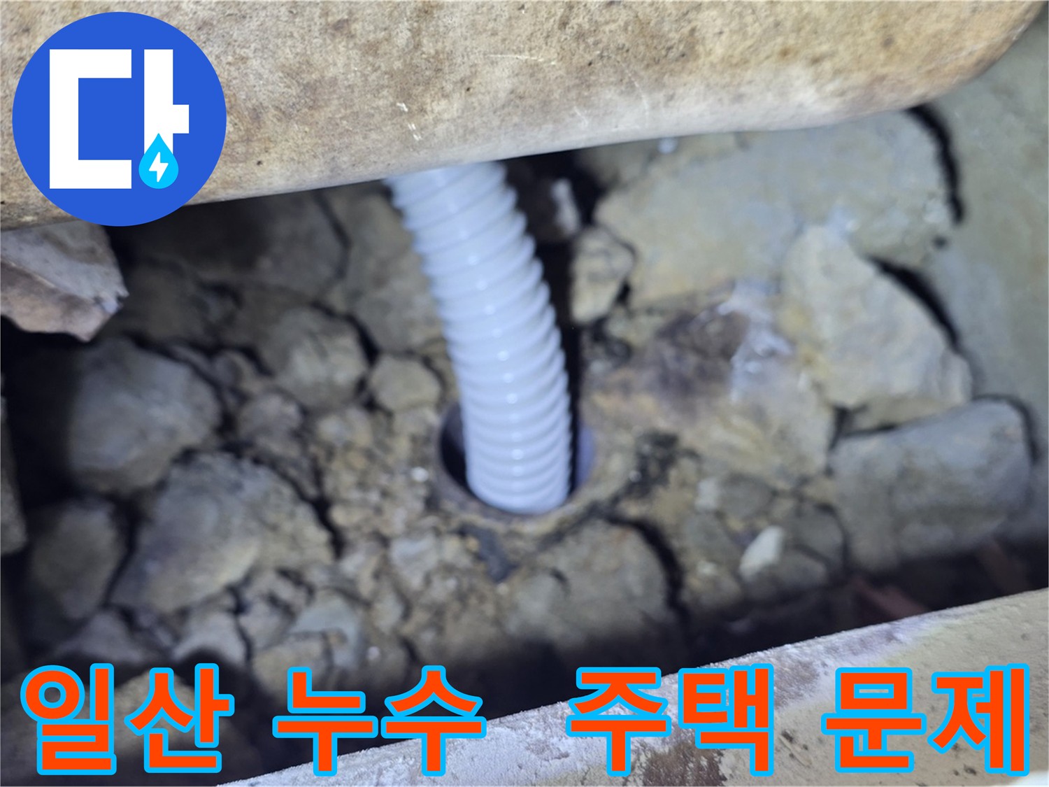 일산 가좌동 주택 누수 - 문제 해결 전문 업체의 신속한 대응