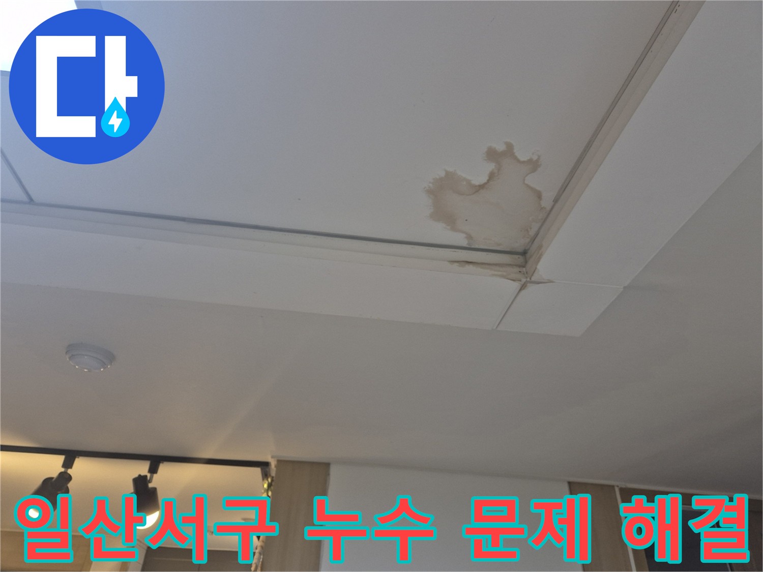 고양시 일산서구 천장 누수 - 건물 전체 안전 위협 - 전문 업체의 진단과 시공 필요