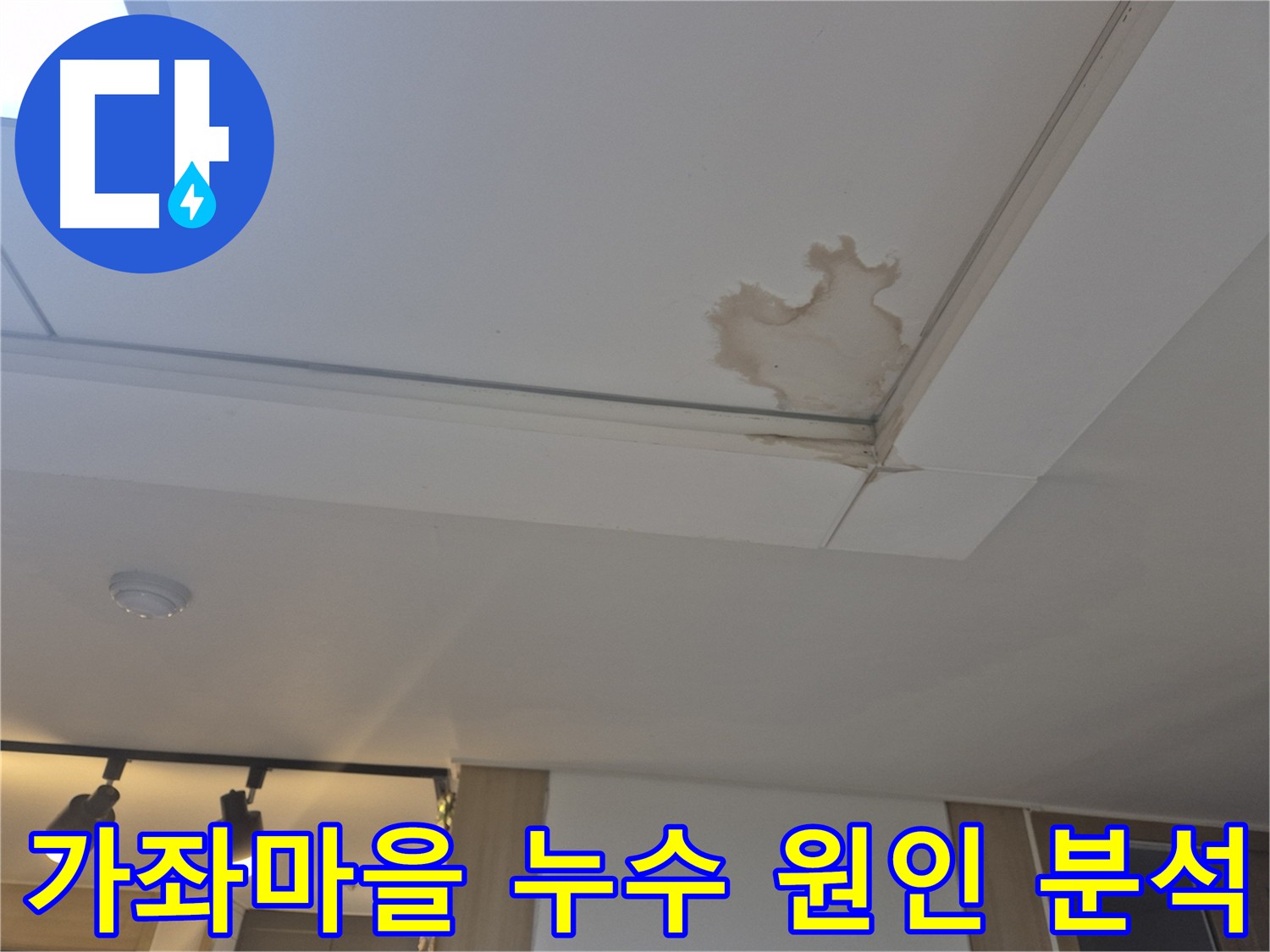 가좌마을 아파트 천장 누수 자국 - 첨단 장비 이용한 정확한 누수 원인 탐지 및 해결