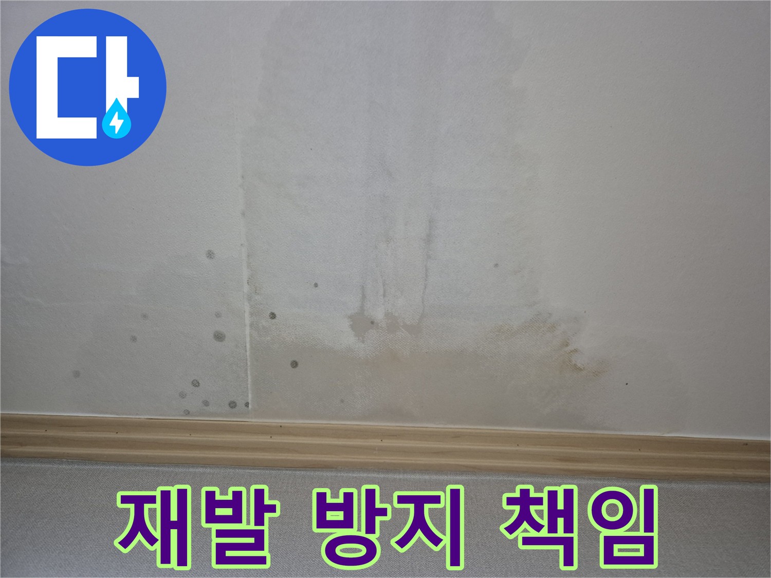 고양 천장 누수 완벽 해결 - 재발 방지 및 지속적인 관리