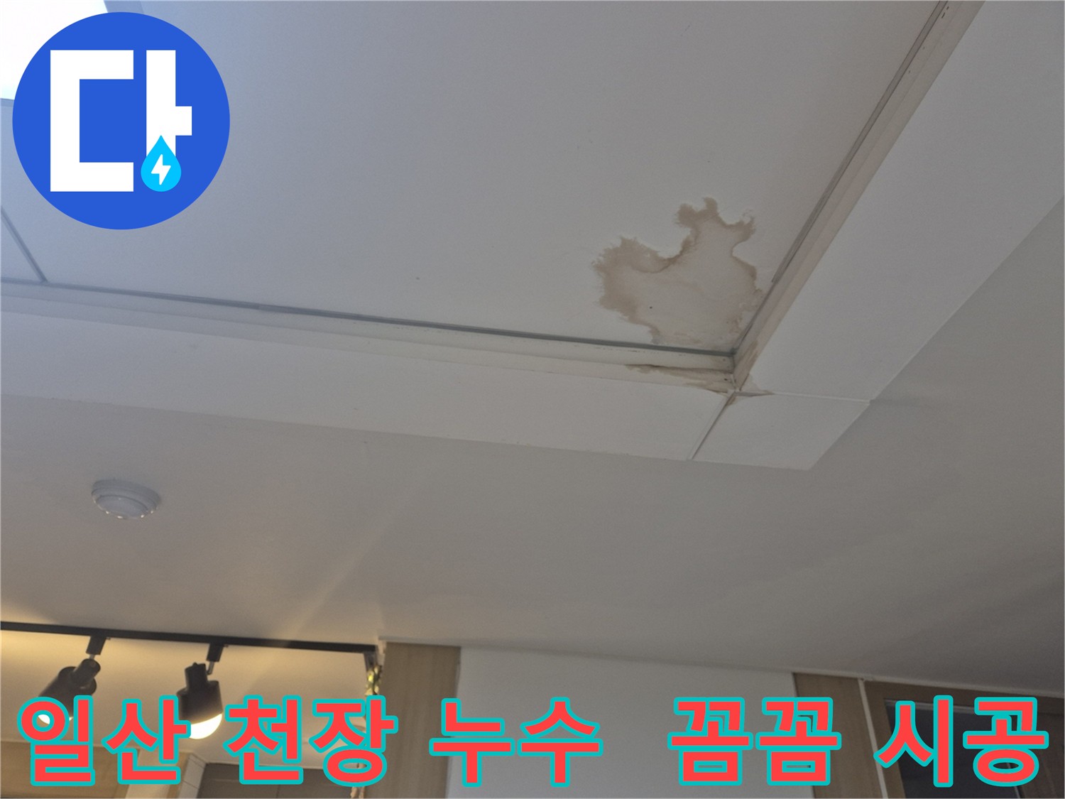 일산 천장 누수 점검으로 누수 예방하는 모습