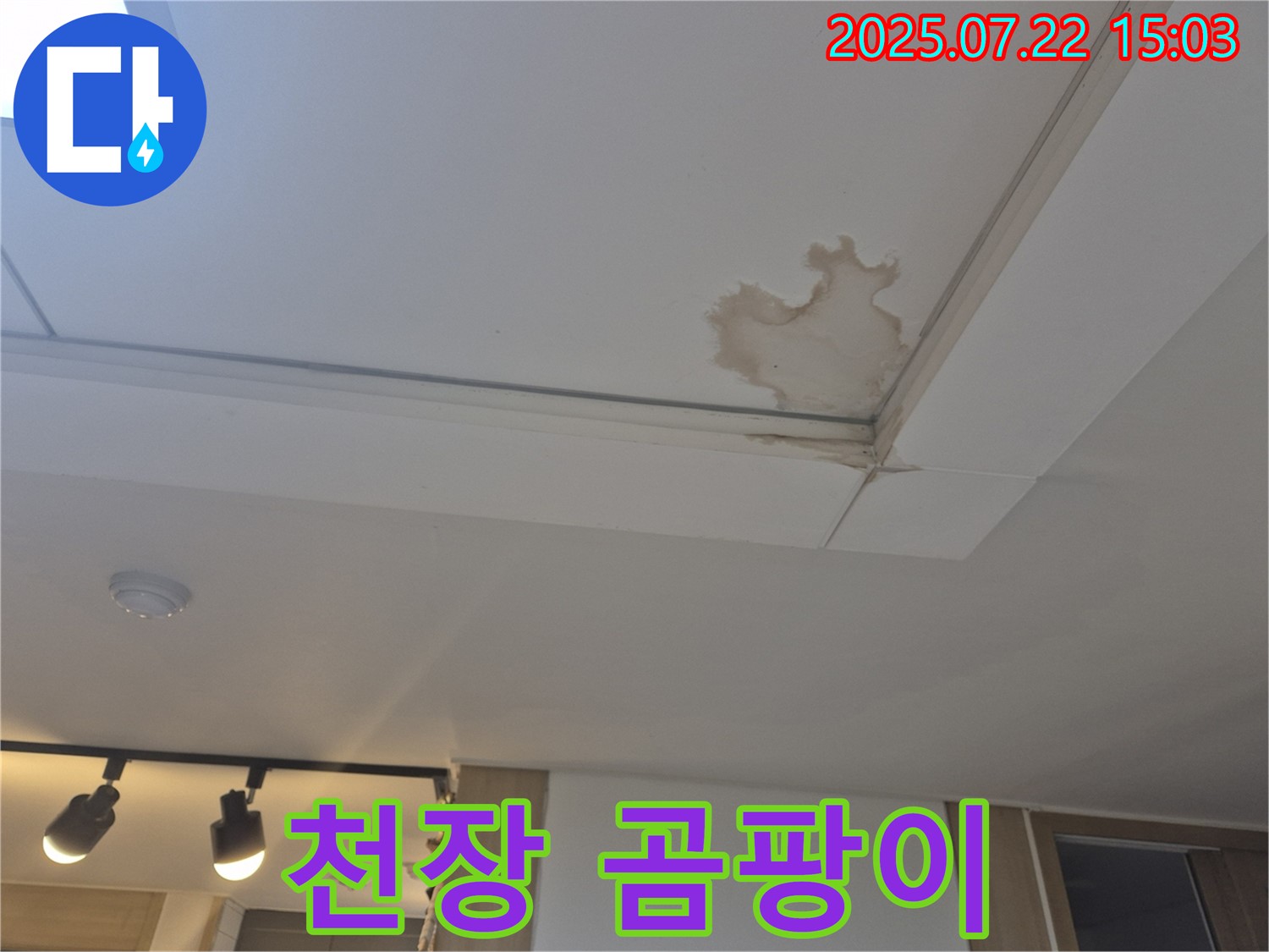 일산 가좌동 누수 - 곰팡이 핀 천장, 건강까지 위협