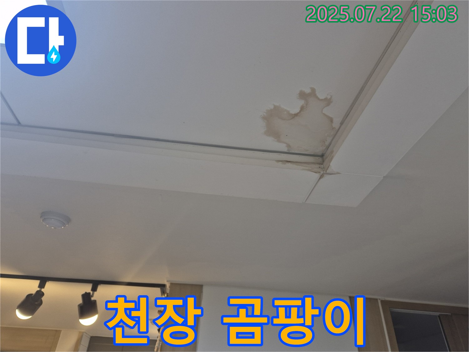 일산 가좌동 누수 - 천장 곰팡이, 건강까지 위협