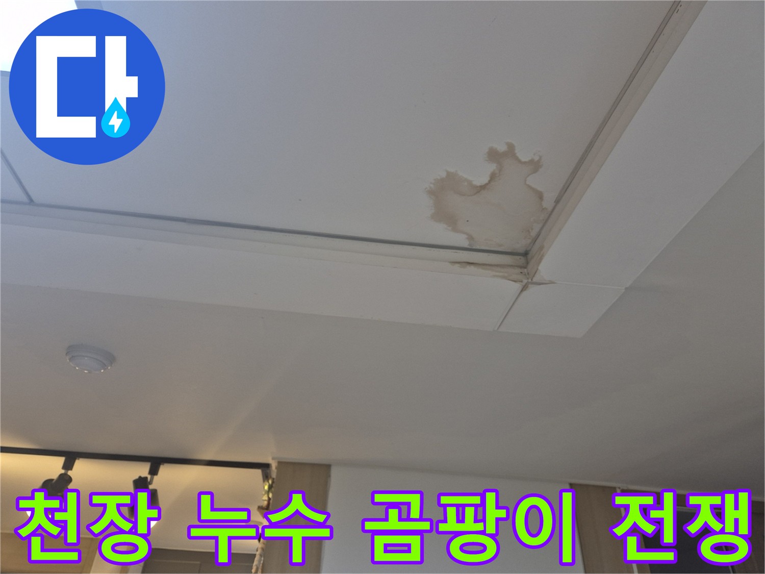 고양시 일산서구 천장 누수 - 곰팡이 발생 - 건강 위협 - 철저한 제거 필요