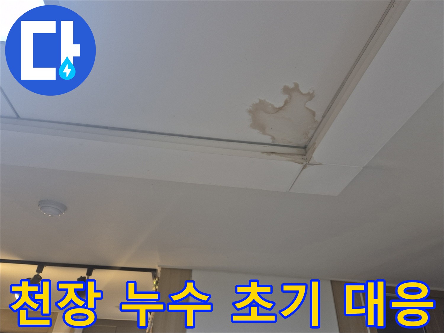 가좌2동 천장 누수 - 초기 대응이 중요한 이유 - 건물 손상 최소화