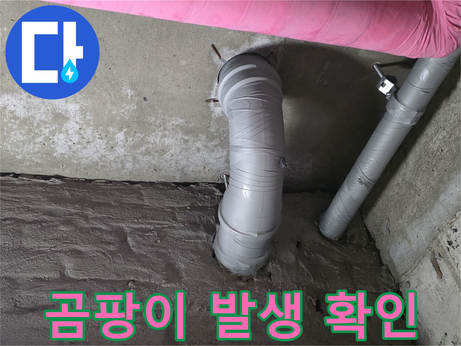 화도읍 아파트 배수관 주변 곰팡이 발생 여부 확인 사진