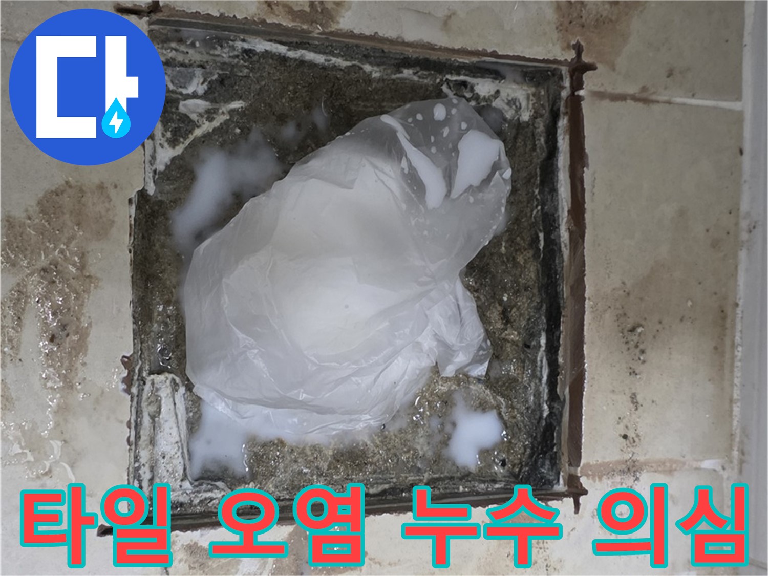 고양시 덕양구 동산동 욕실 배수구 주변 타일 오염 - 누수 의심