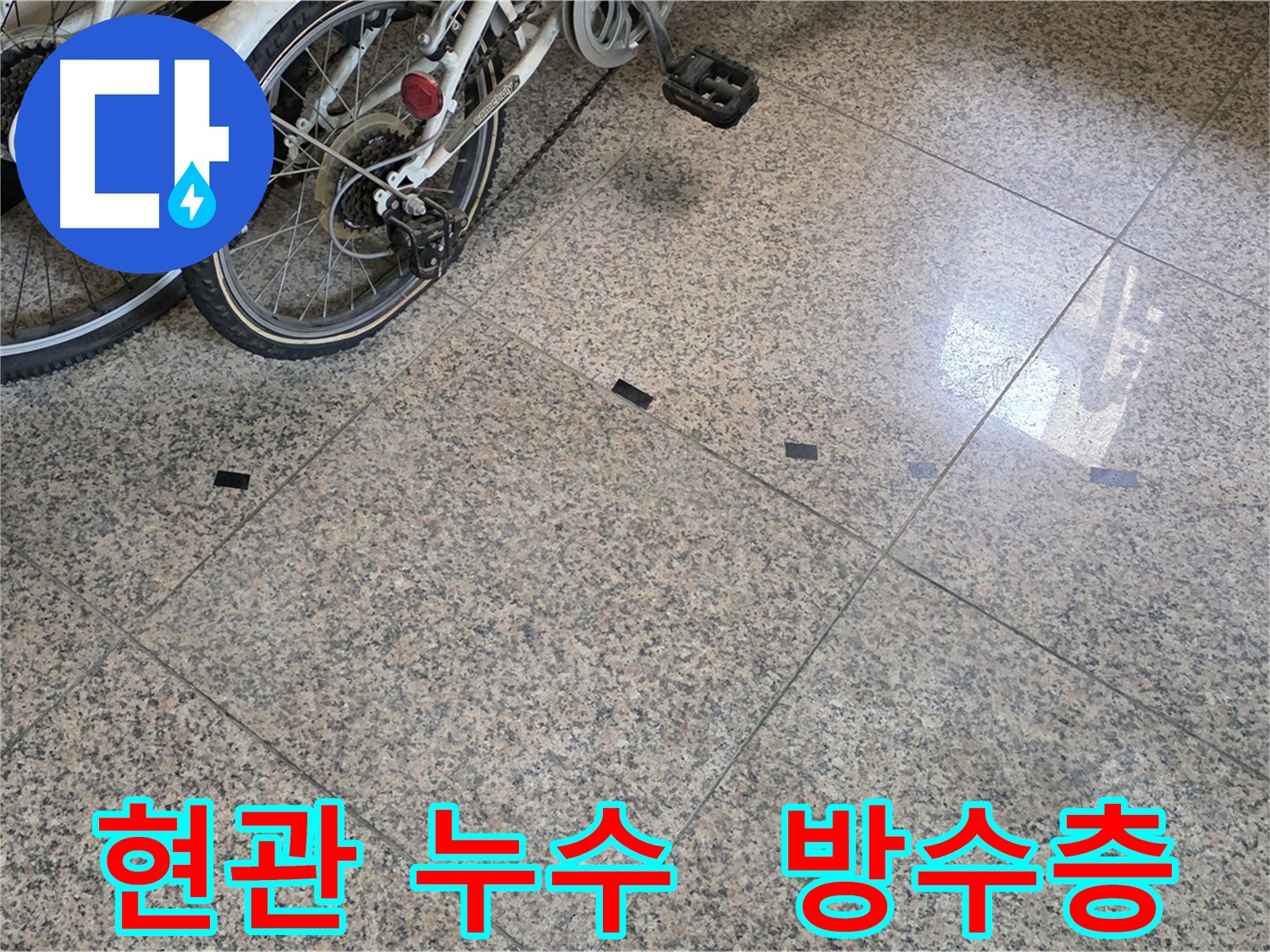 현관 앞 대리석 변색으로 의심되는 누수 - 아래층 피해 확산