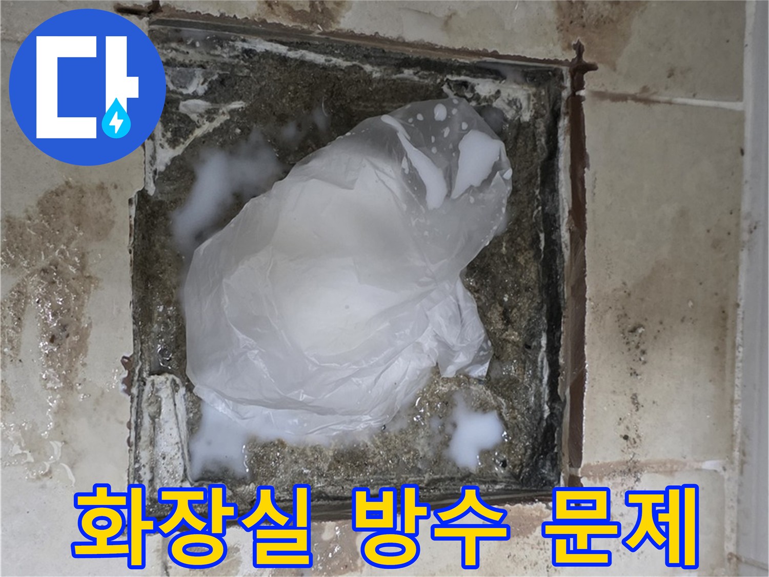 고양시 덕양구 동산동 화장실 누수 점검 및 방수 공사 시공 사진
