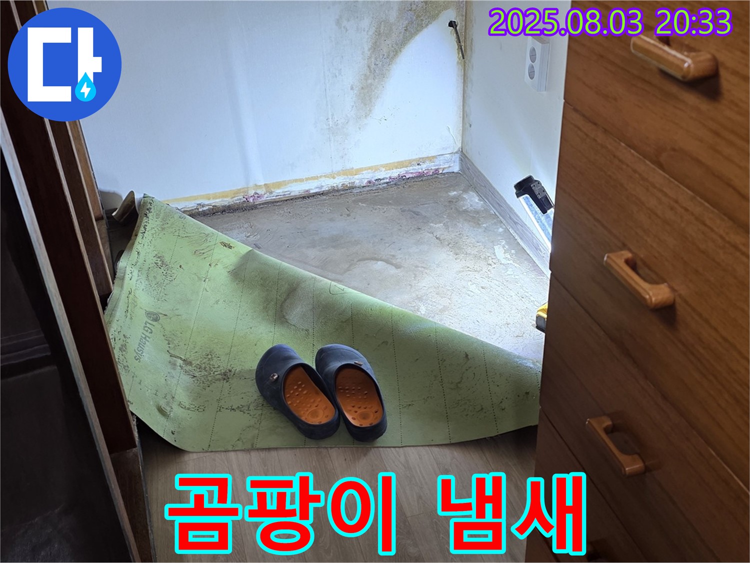 곰팡이 냄새 - 누수 의심