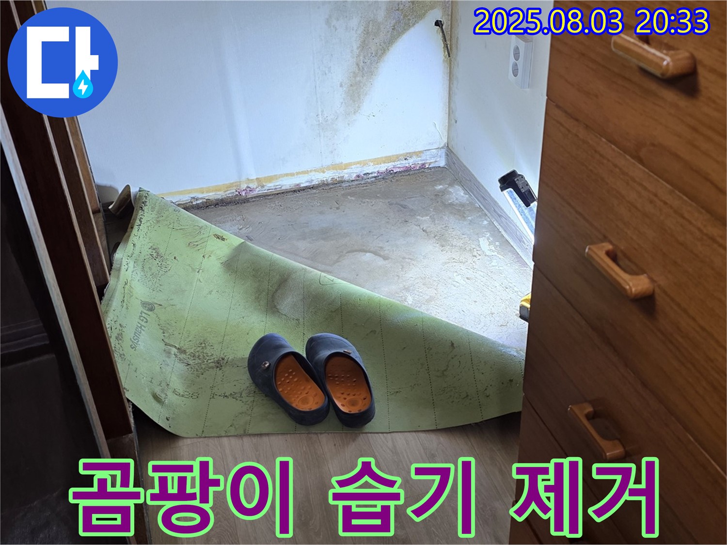 곰팡이 습기 제거 - 깨끗한 바닥