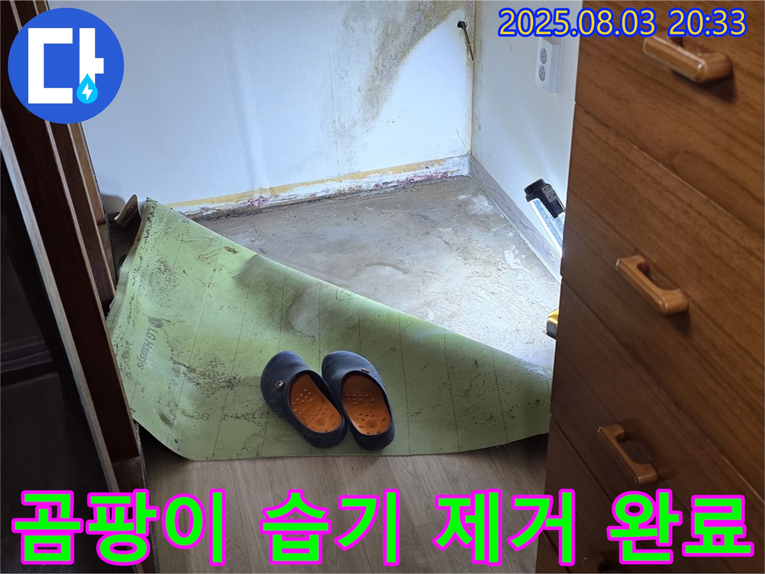곰팡이 습기 제거 - 깨끗한 벽