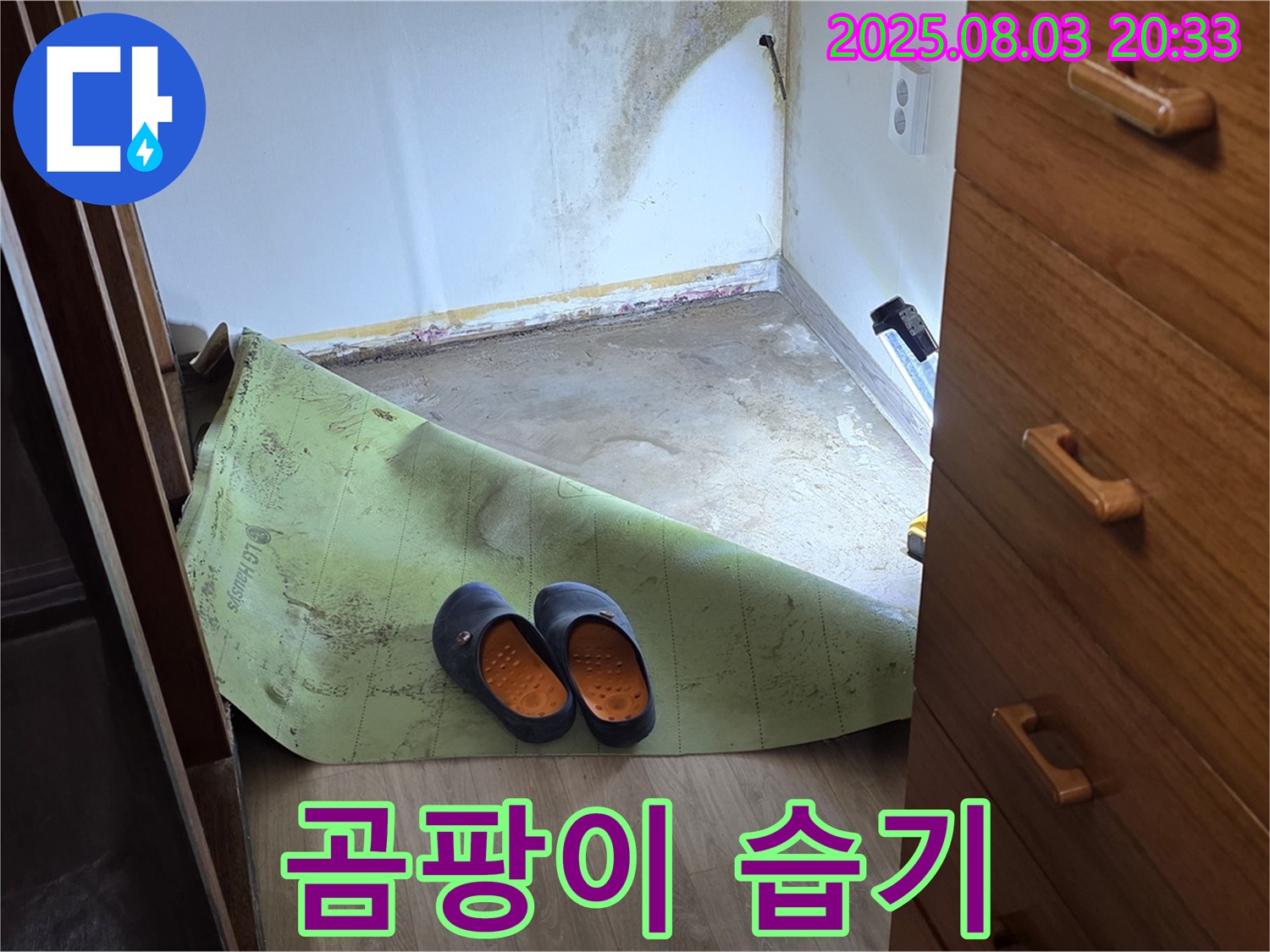 곰팡이 습기 - 쾌적한 환경 조성