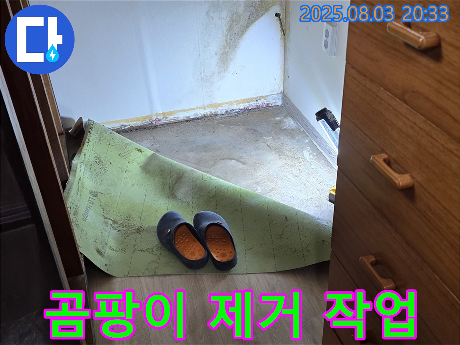 곰팡이 제거 - 깨끗한 벽