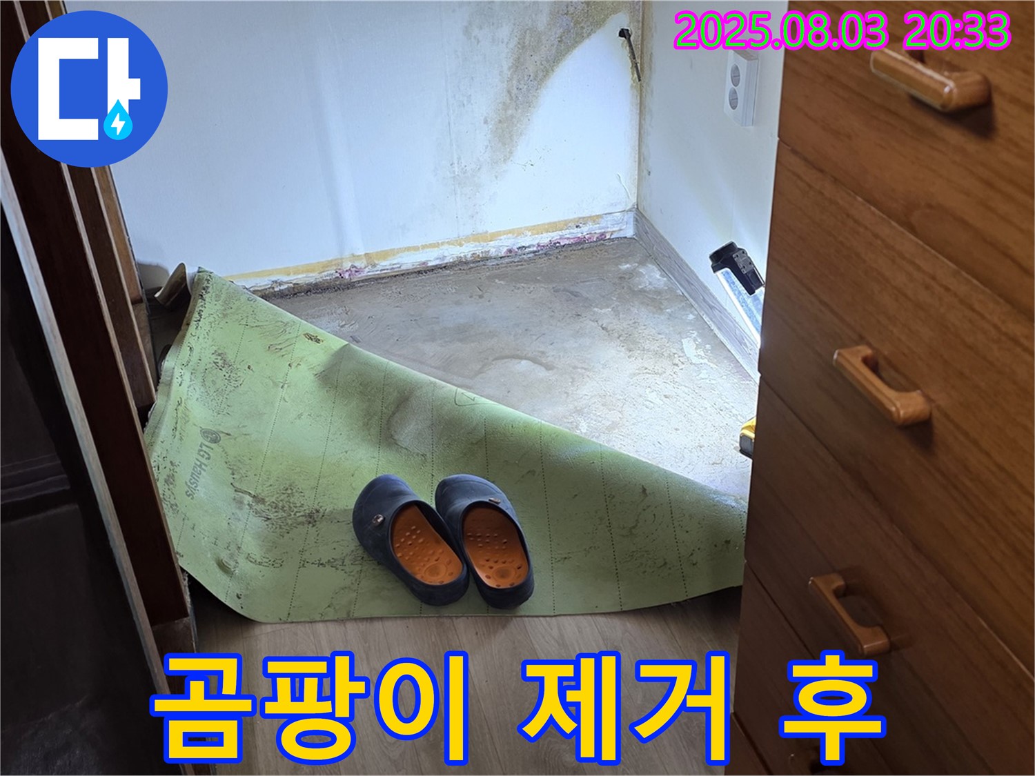 곰팡이 제거 - 깨끗한 환경