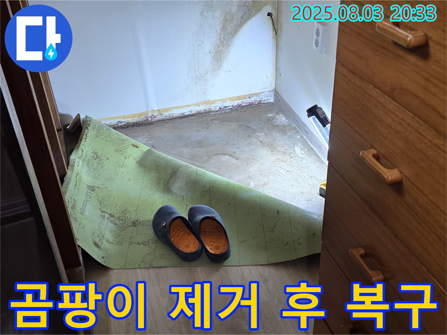 곰팡이 제거 후 복구 - 깨끗한 벽 완성