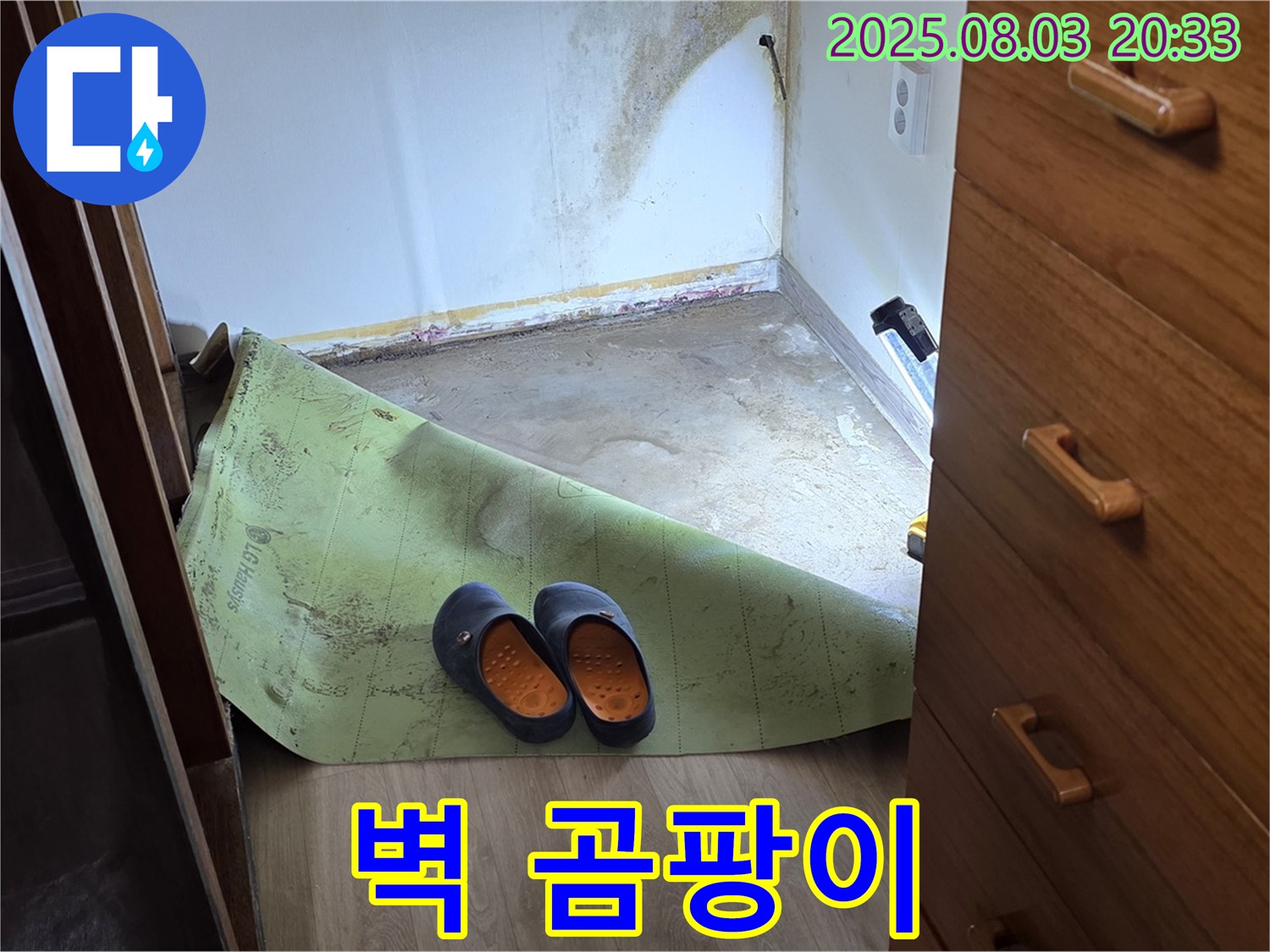 곰팡이 핀 벽 - 누수 증거