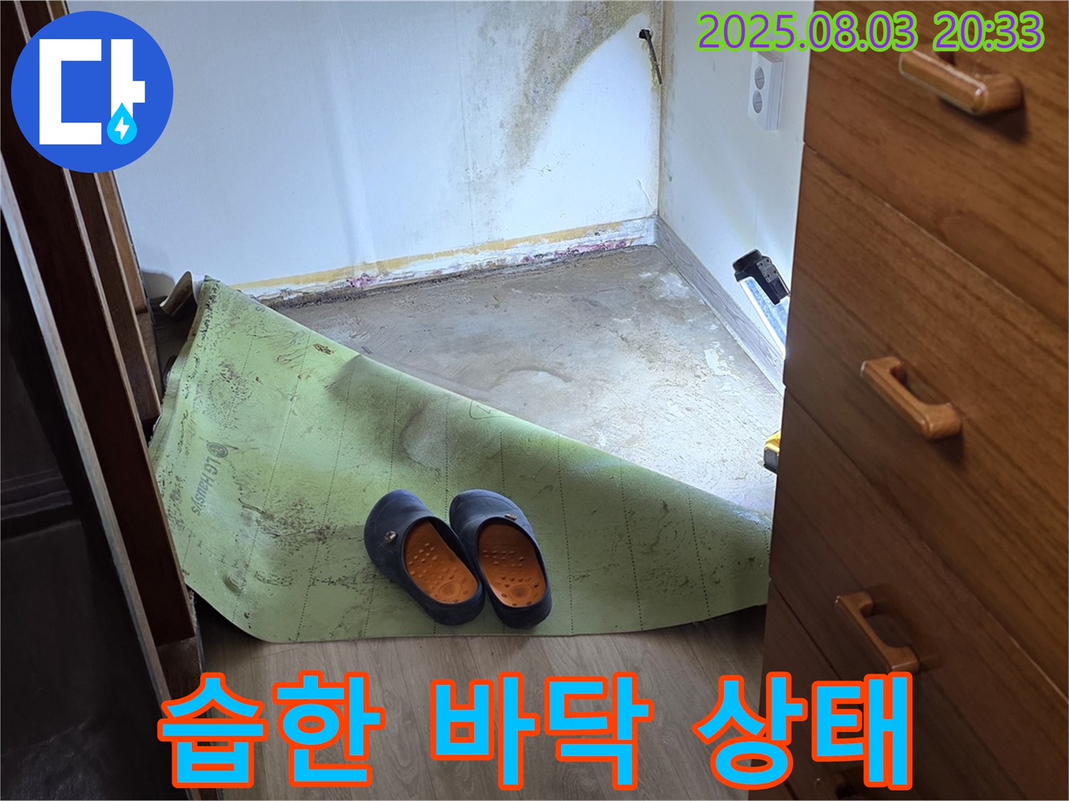 습한 바닥 - 누수 의심