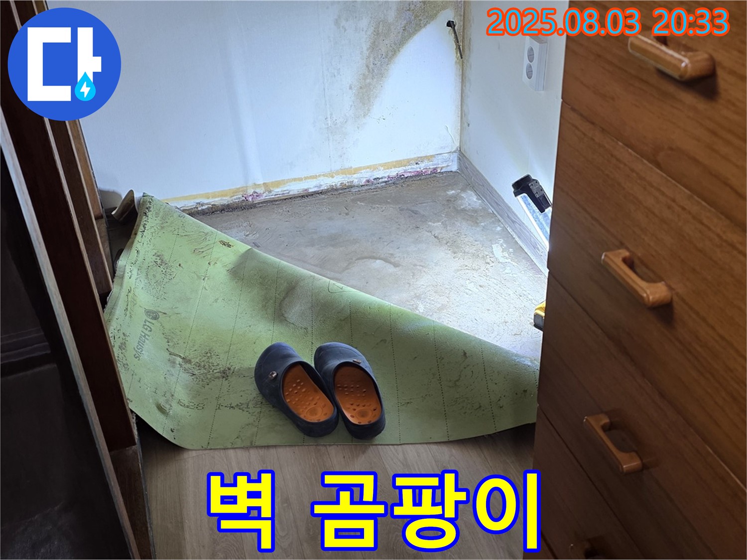 심각한 벽 곰팡이 - 건강 위협