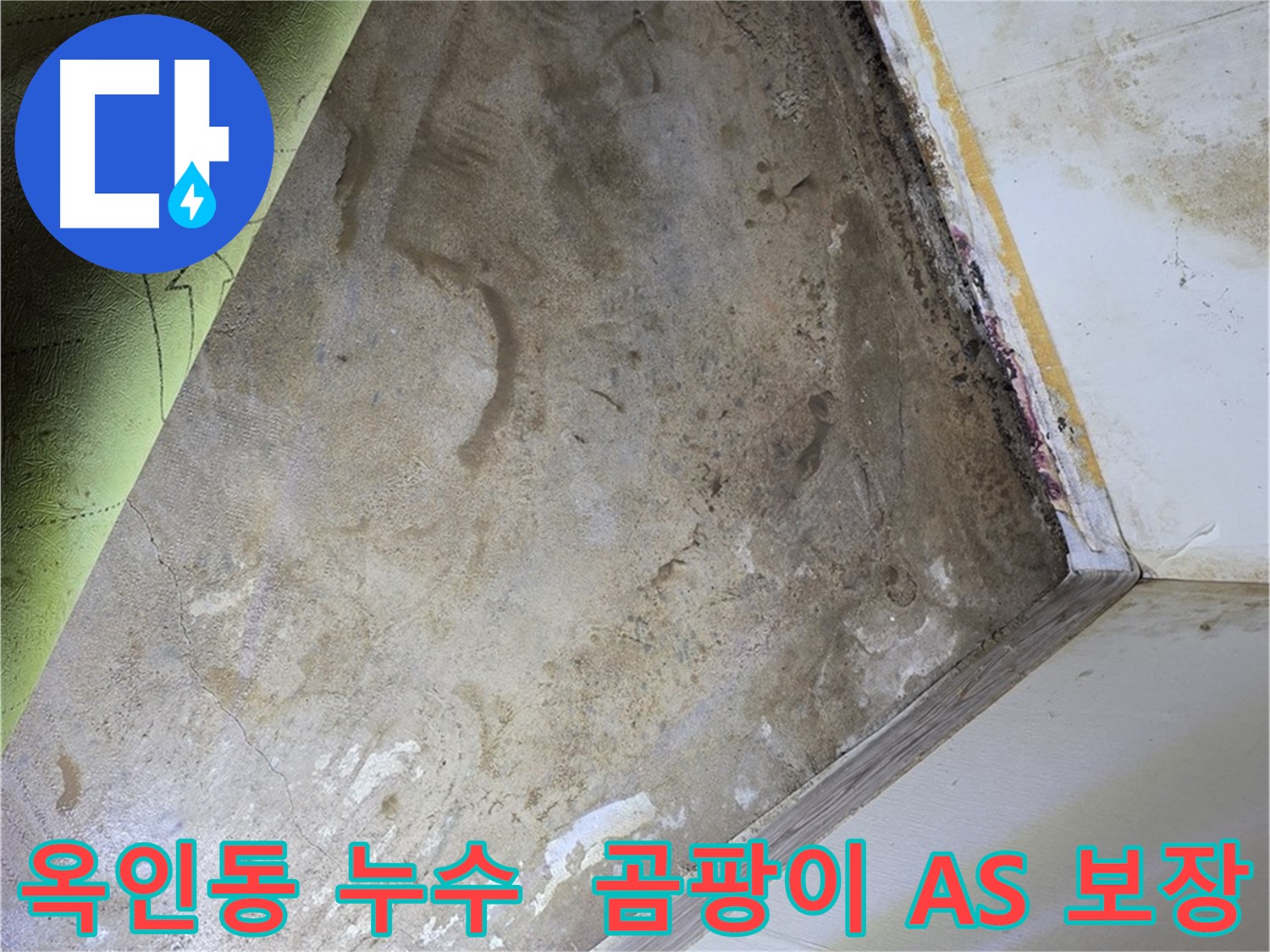 장판 밑 곰팡이 - 옥인동 꼼꼼한 A/S 보장