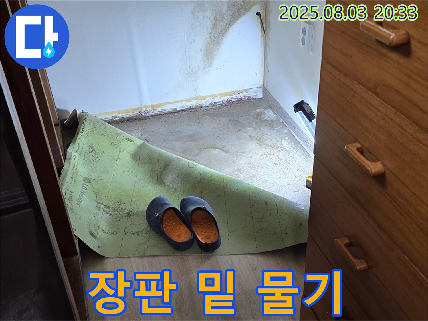 장판 밑 물기 - 누수 의심