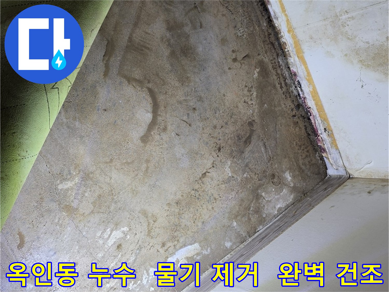 장판 밑 물기 제거 - 옥인동 완벽 건조
