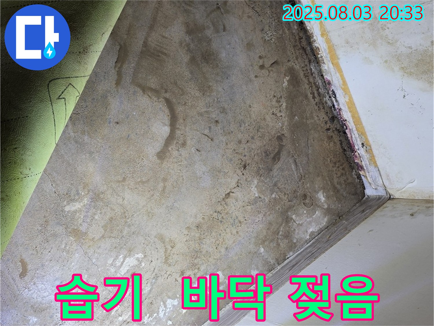 장판 밑 습기 - 바닥 젖음 확인