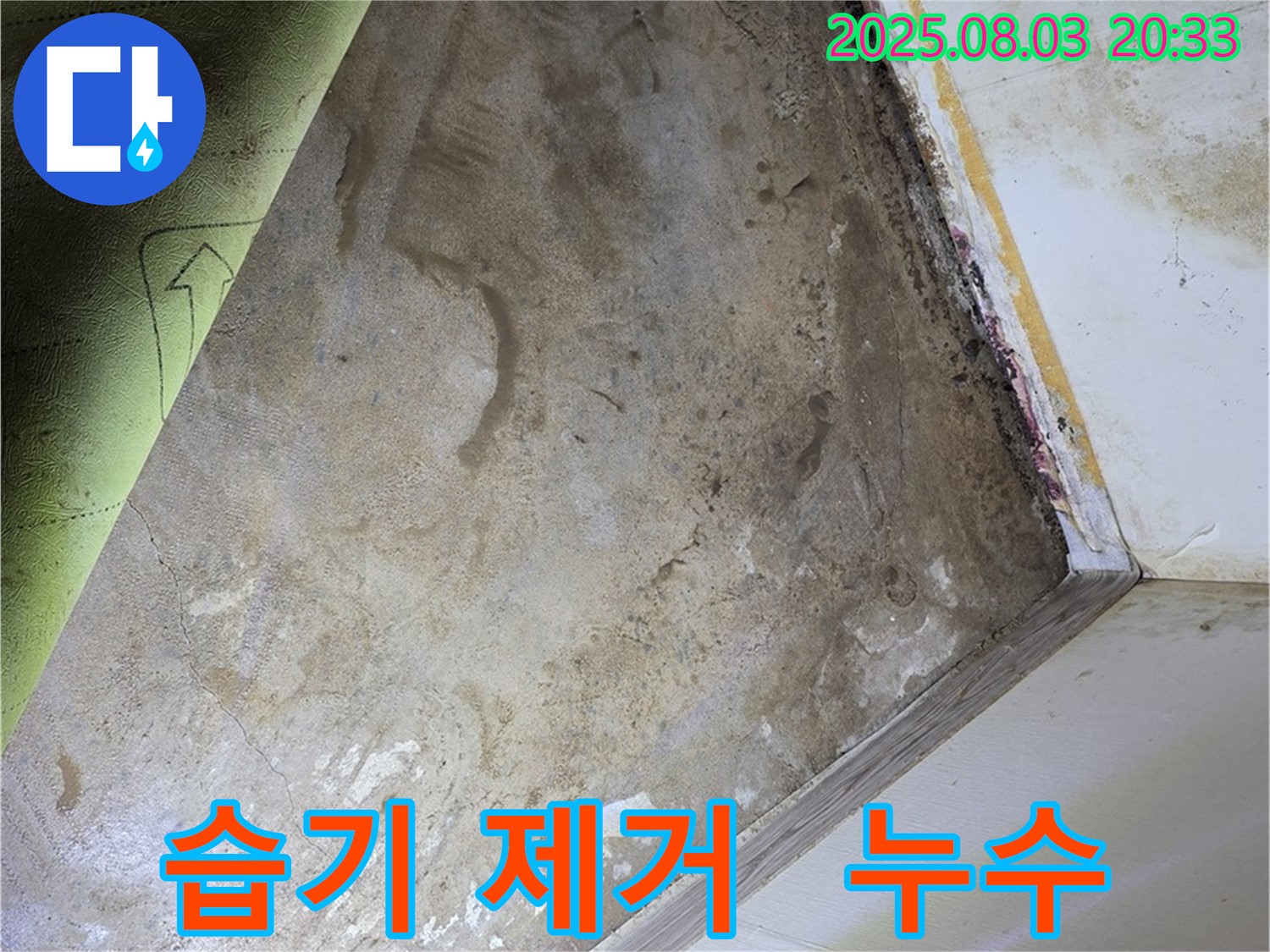 장판 밑 습기 제거 - 누수 흔적 확인