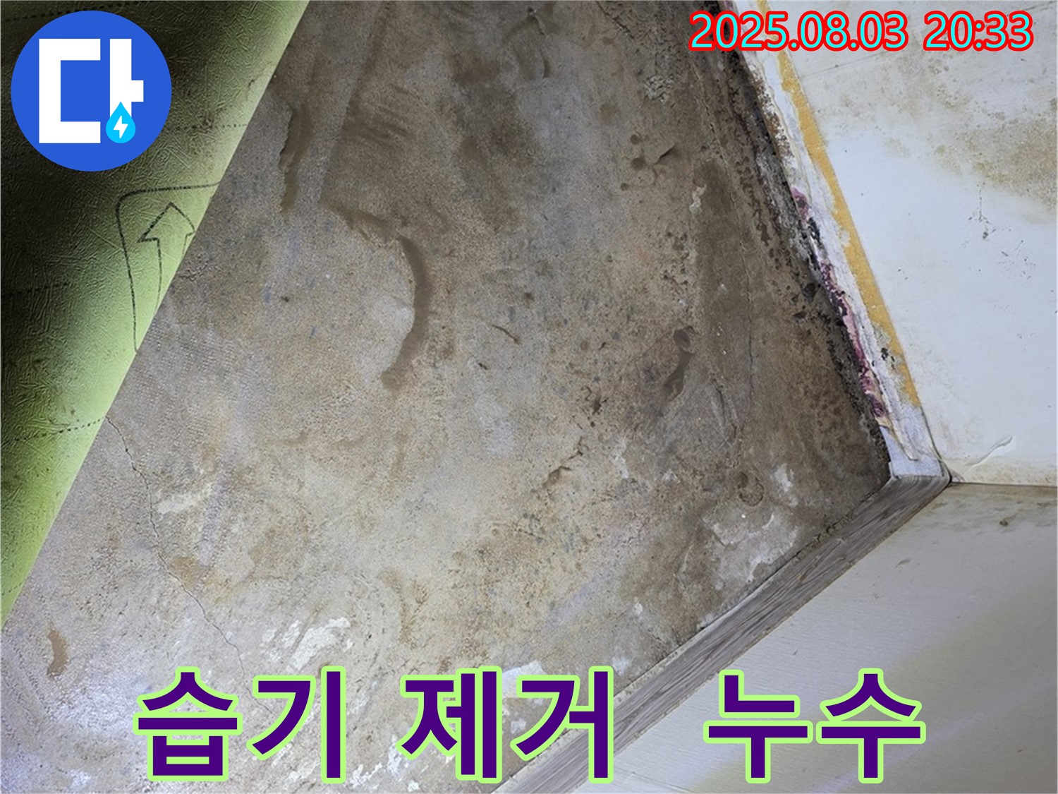 장판 밑 습기 제거 - 습기 제거 전문 업체