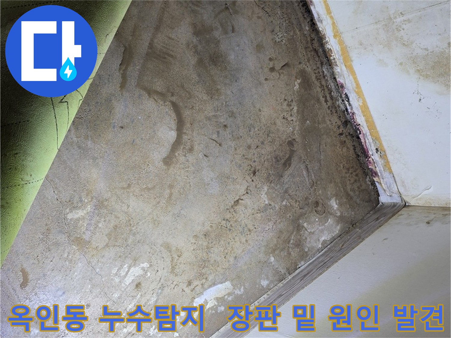 장판 아래 흥건한 물 - 주택 누수 원인 발견 및 배관 수리 준비