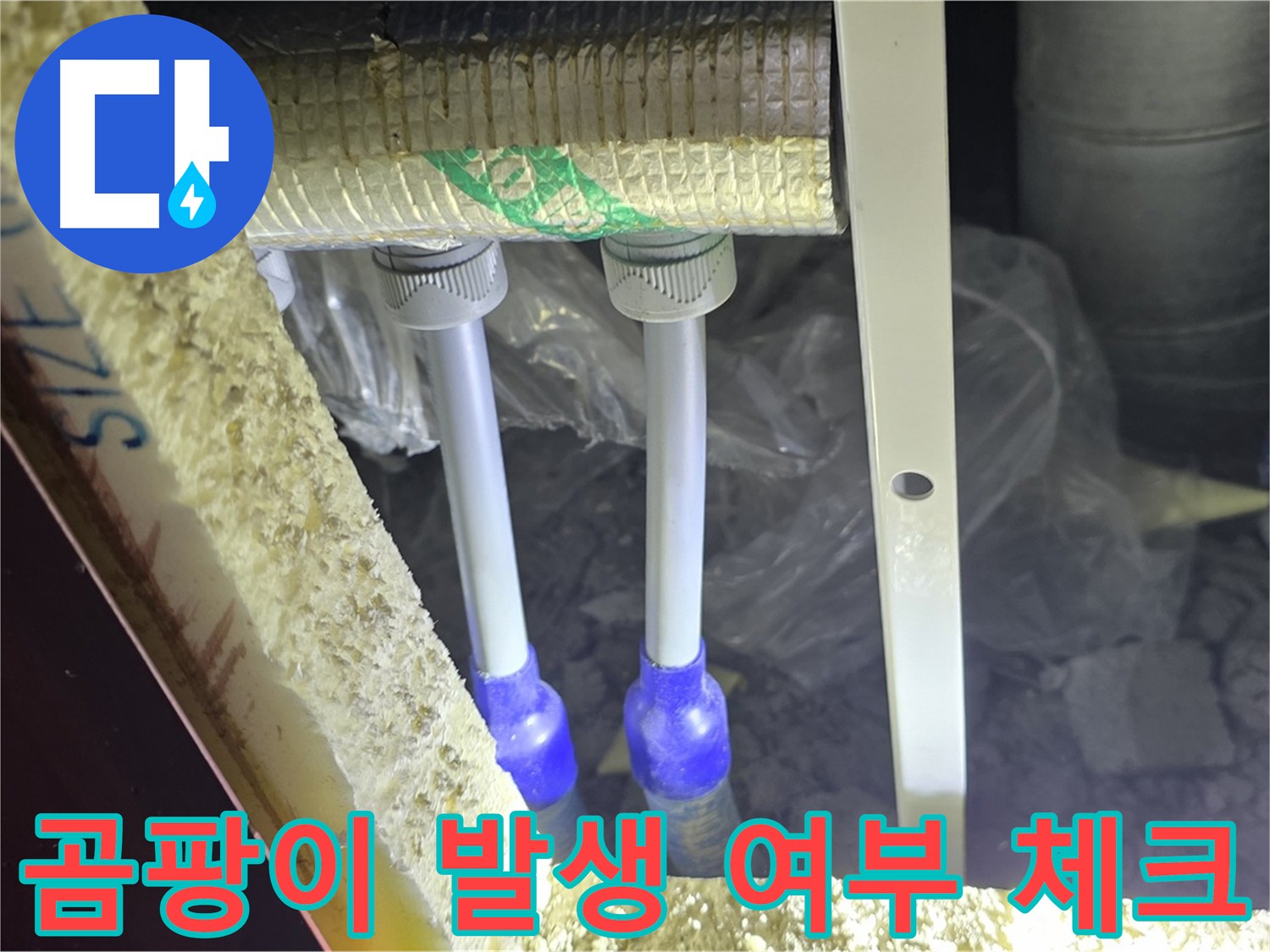 양주 아파트 누수 - 배관 주변 곰팡이 발생 여부 체크