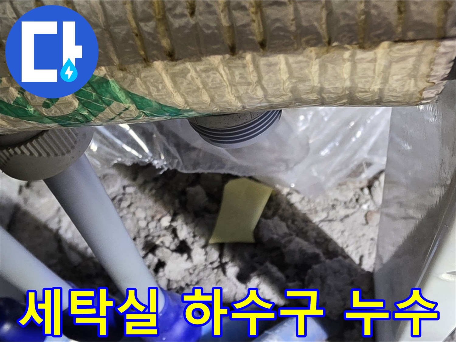 세탁실 하수구 배관 누수 발견 - 초기 점검
