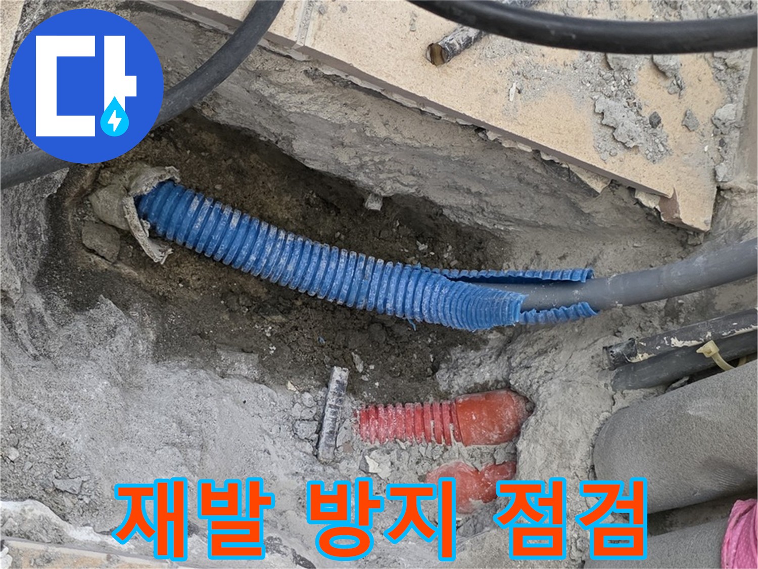 양주 자이아파트 누수 - 꼼꼼한 배관 점검으로 재발 방지