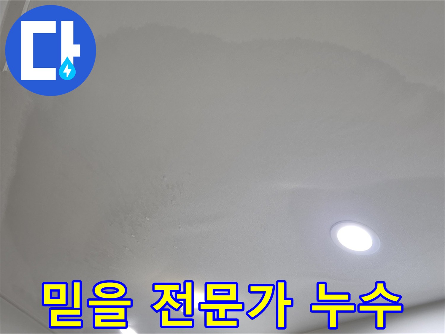 양주 천장 누수 - 누수 전문가