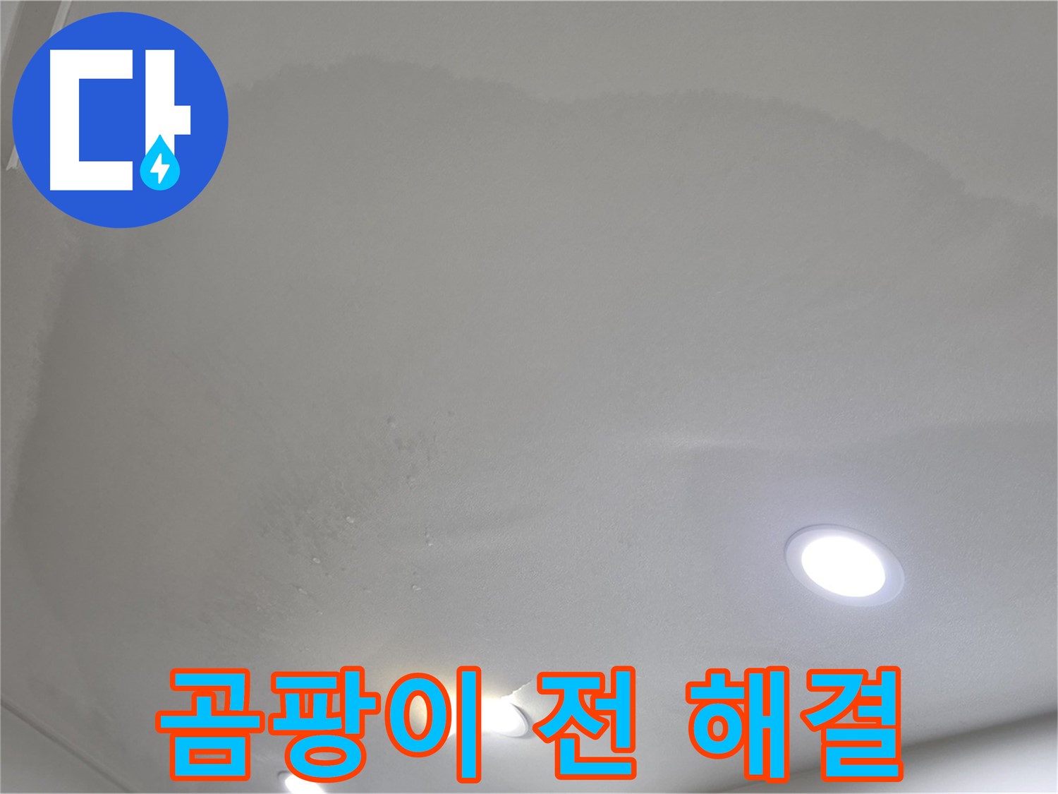 양주 아파트 천장 누수 - 곰팡이 발생 전 해결