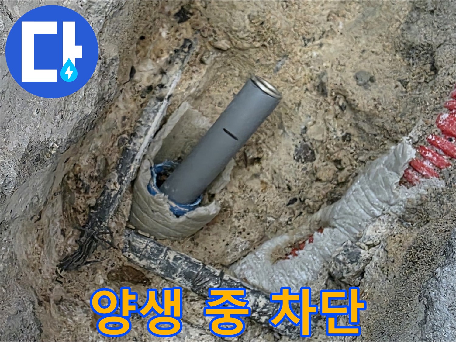 자이아파트 누수 - 꼼꼼 양생 차단
