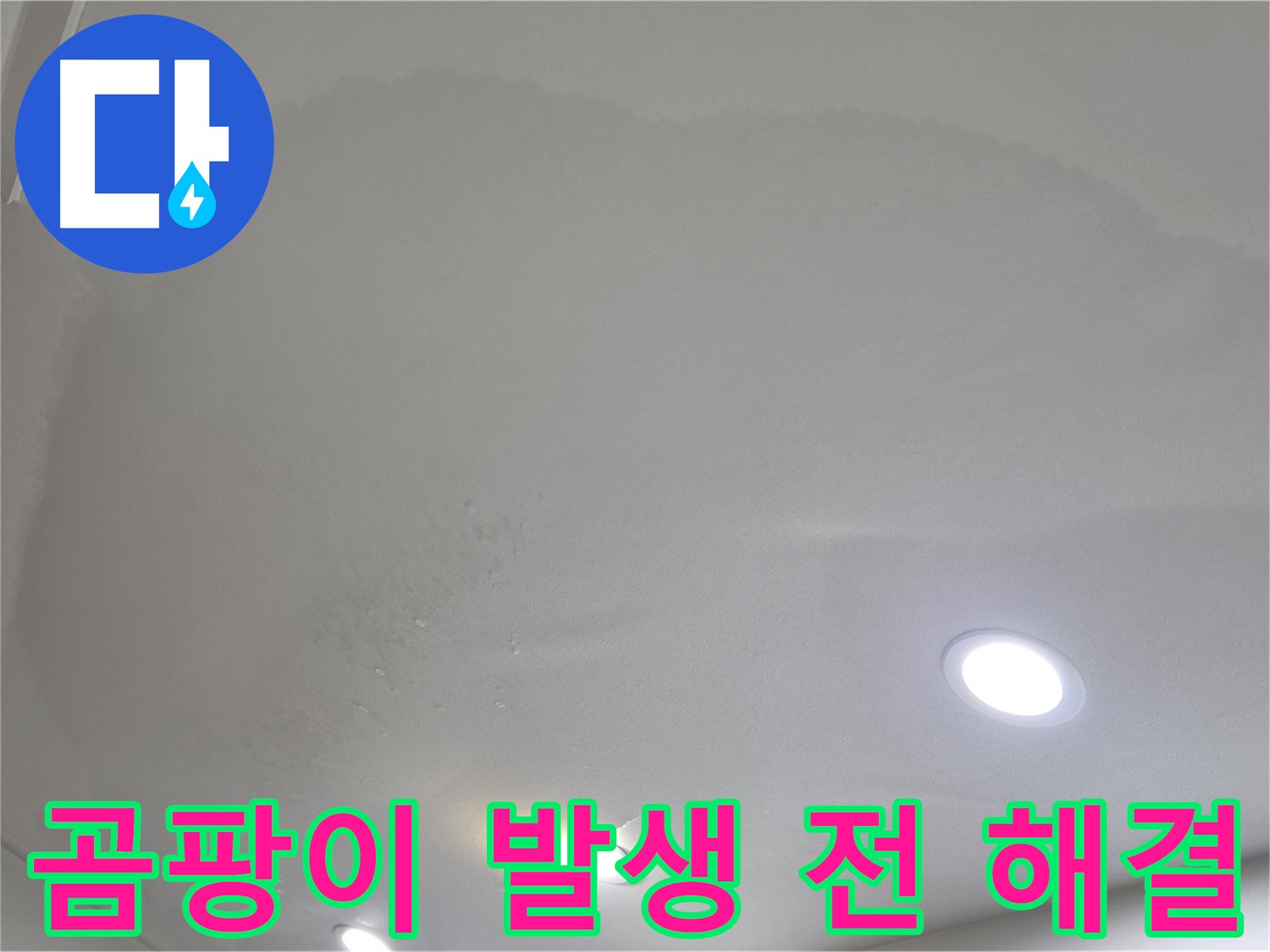 양주 아파트 천장 누수 - 곰팡이 발생 위험