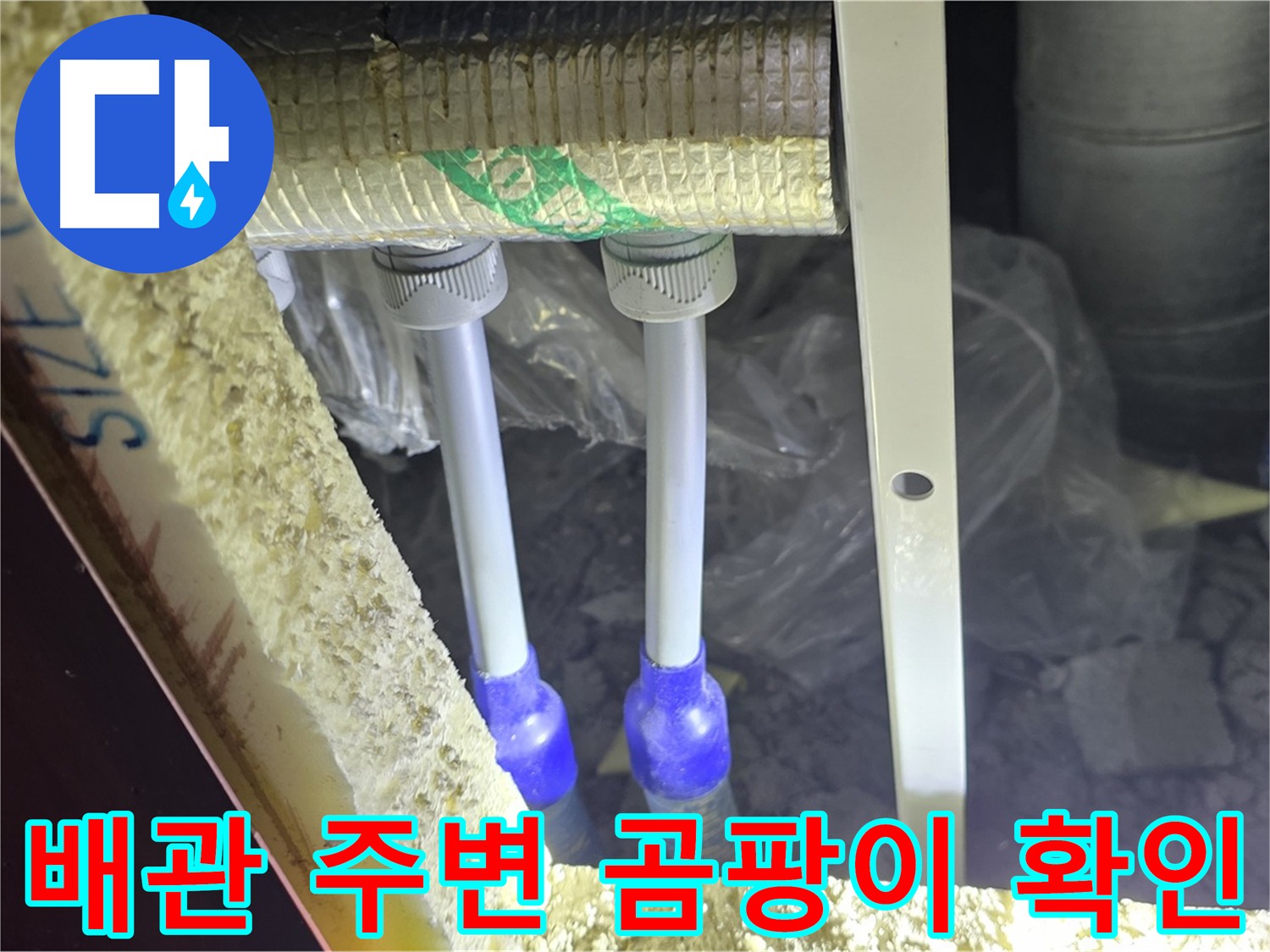 삼숭동 아파트 누수 - 배관 주변 곰팡이 발생 확인