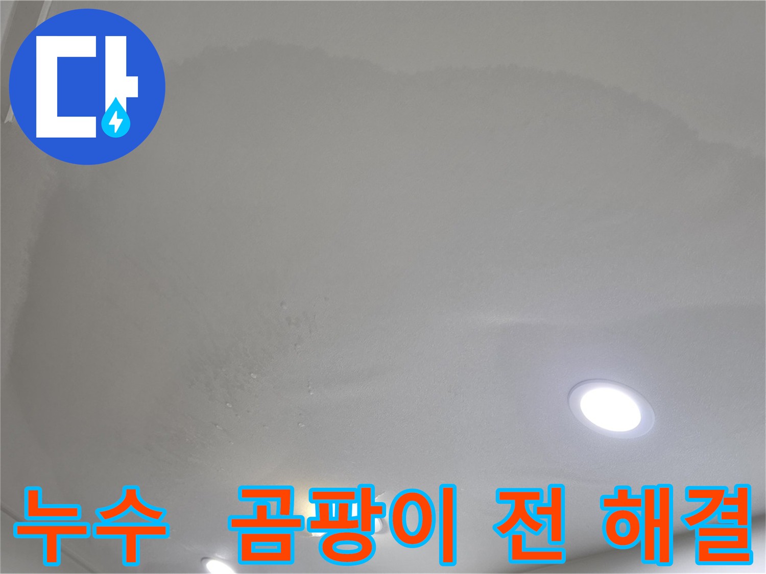 양주 아파트 천장 누수 - 곰팡이 발생 위험