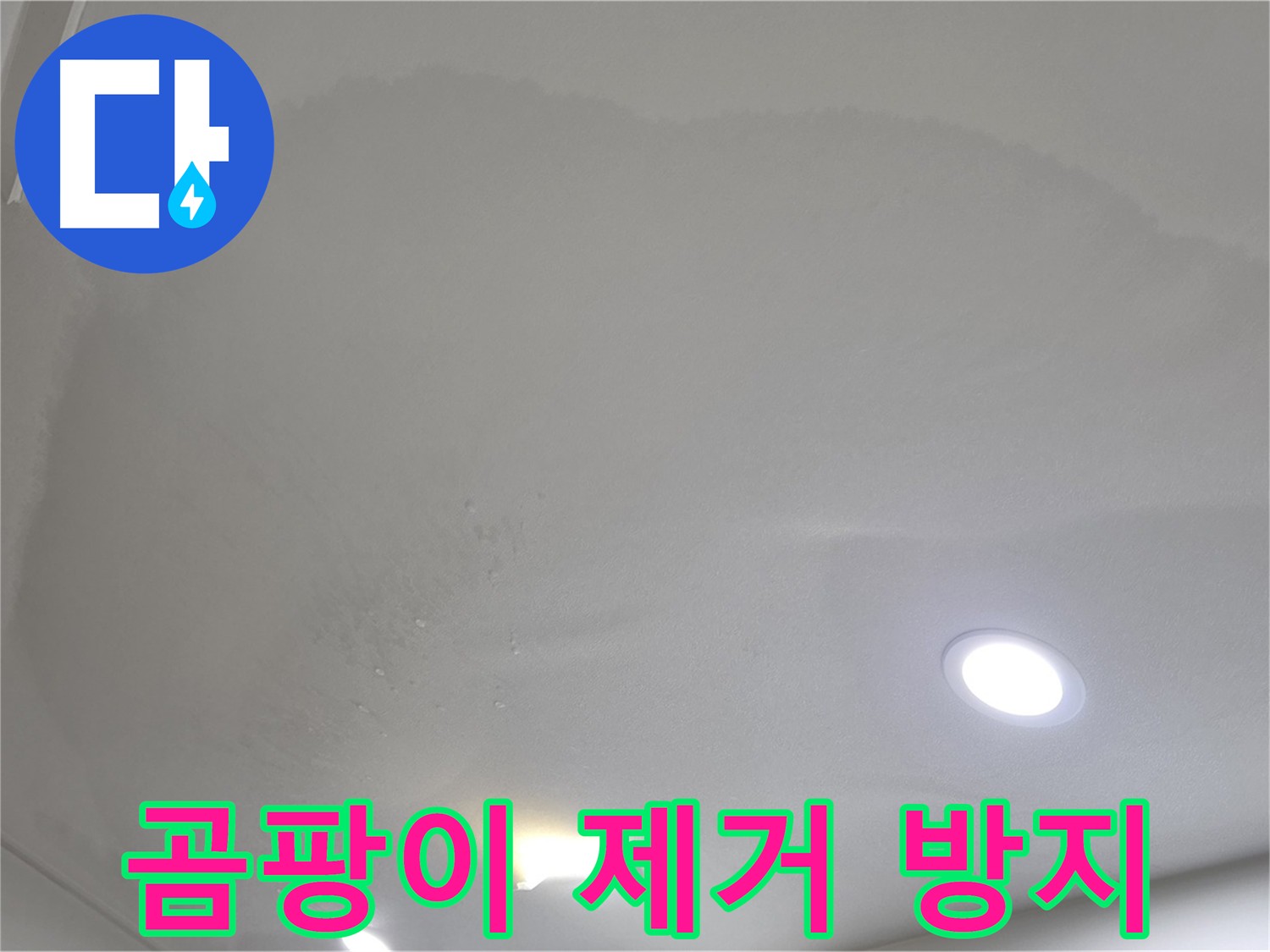양주 누수 해결 - 곰팡이 제거 및 방지 시공
