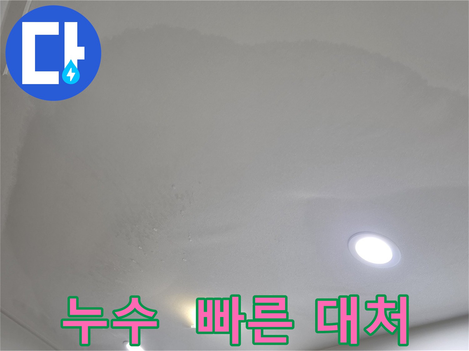 삼숭동 아파트 천장 누수 - 즉시 전문가 문의