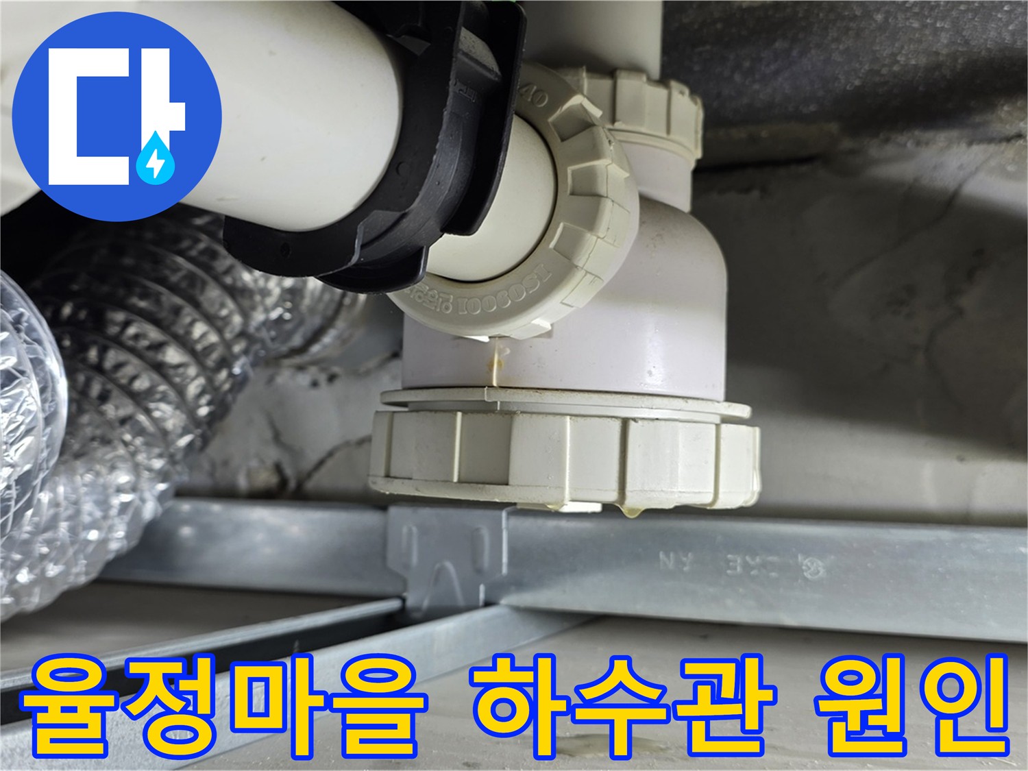 옥정동 율정마을 하수관 누수 - 공압 검사 후 하수관 정밀 검사로 누수 원인 규명