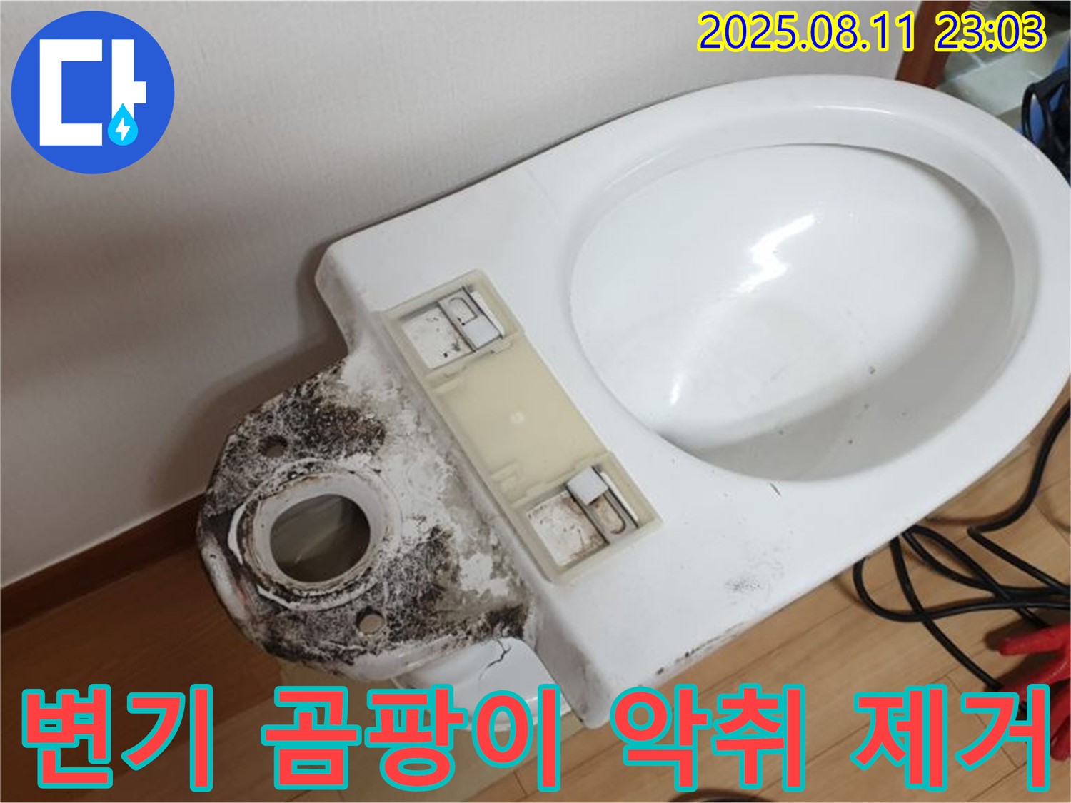 변기 누수 곰팡이와 악취 완벽 제거