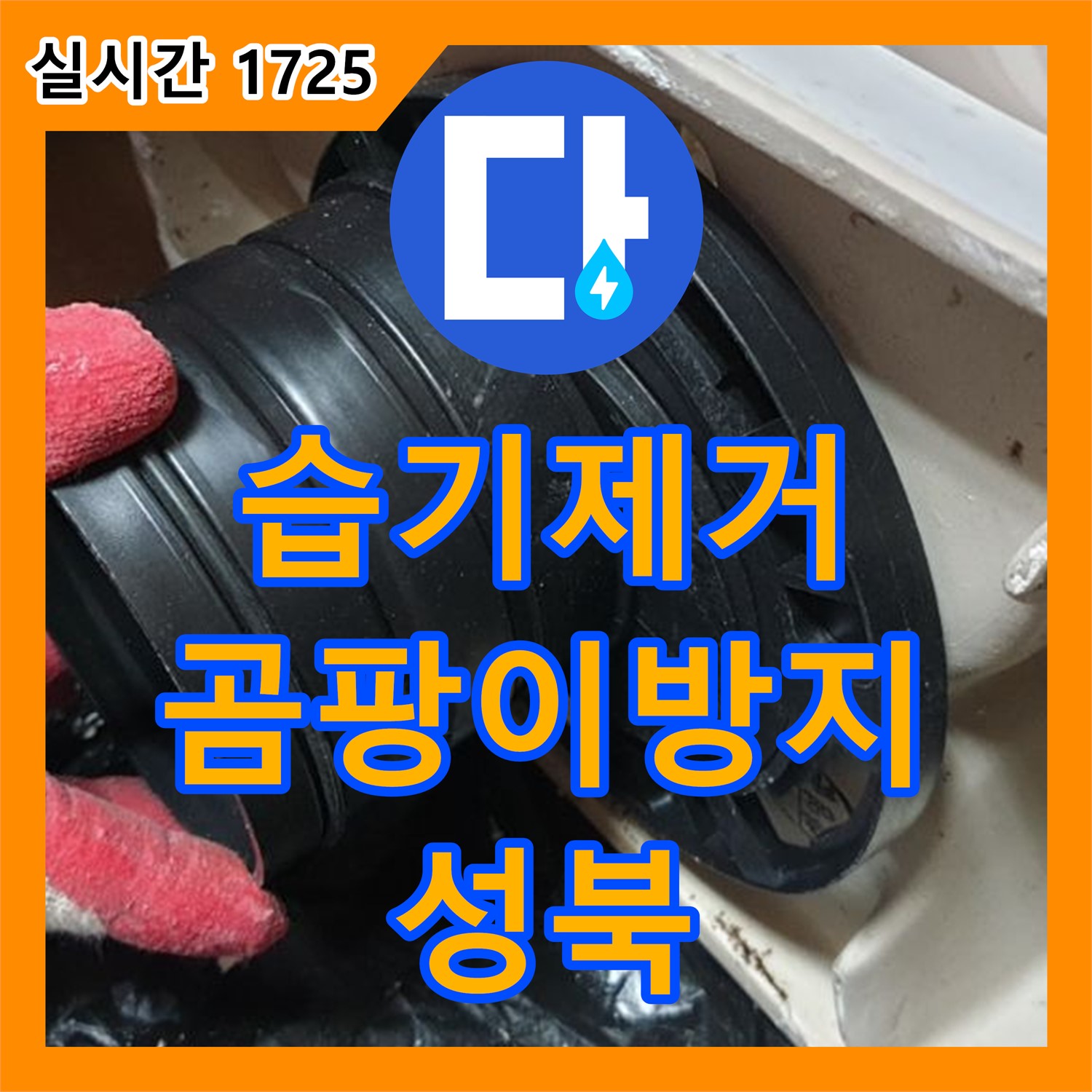 성북구 누수전문업체, 습기 제거 및 곰팡이 방지까지 완벽하게