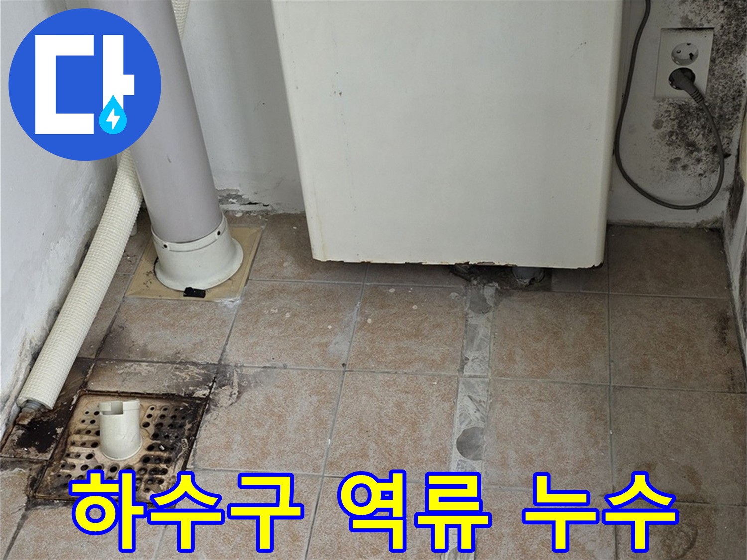 하수구 역류로 인한 누수 - 해결 과정