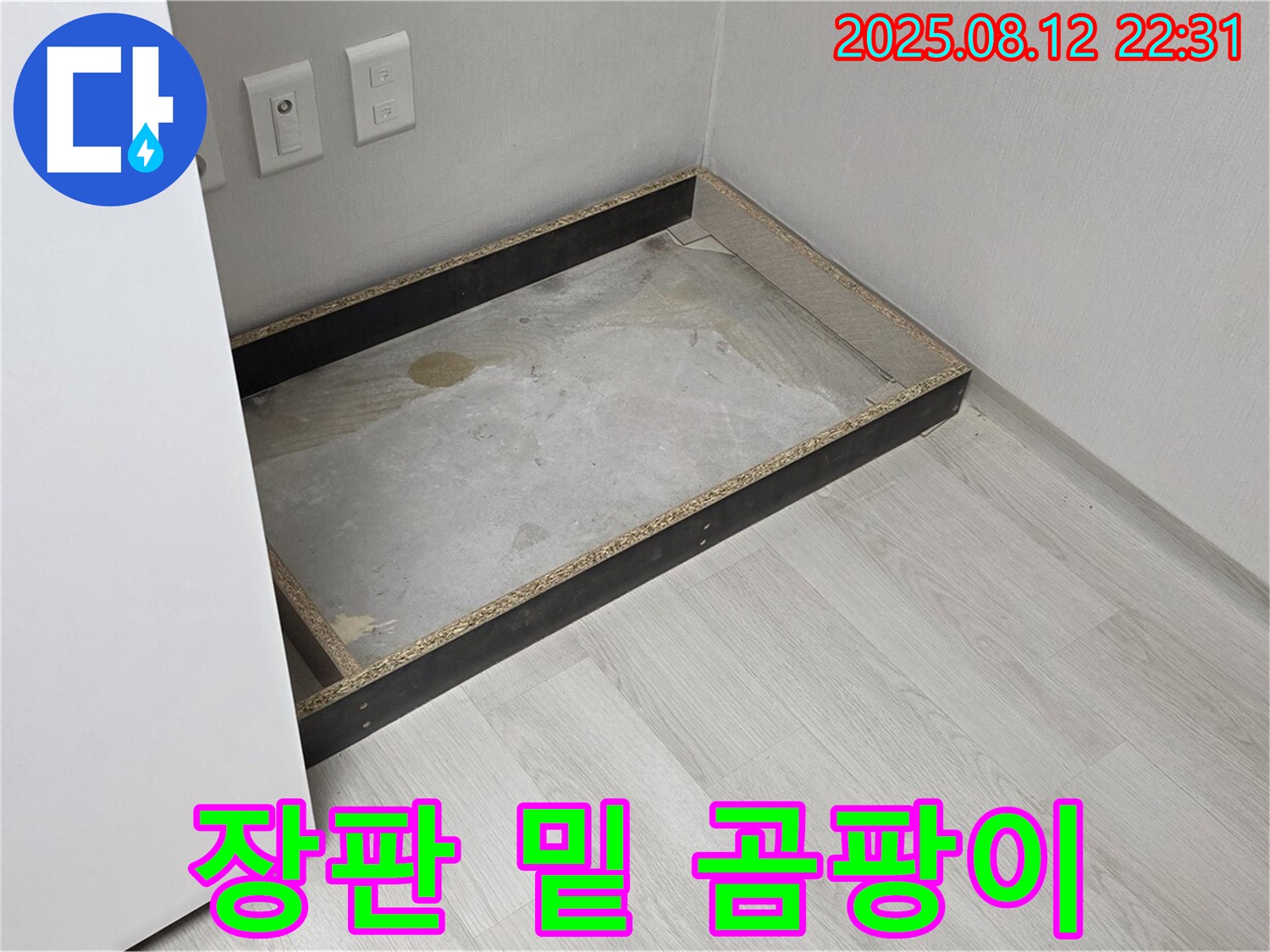 숭인로 누수 - 장판 밑 곰팡이 발견