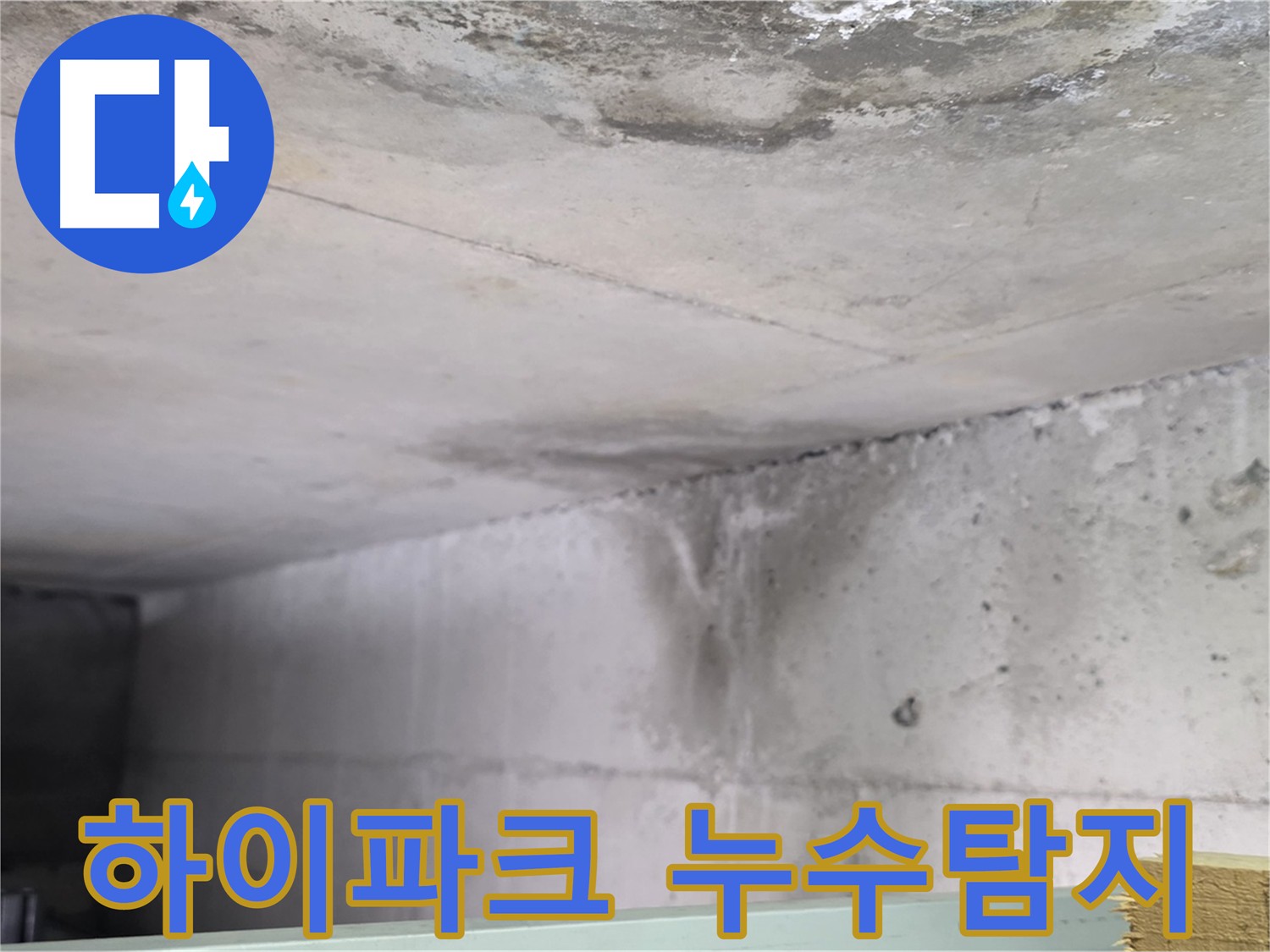아랫집 천장 누수 흔적 사진 - 일산 하이파크시티 아파트 누수 정밀 탐지 필요