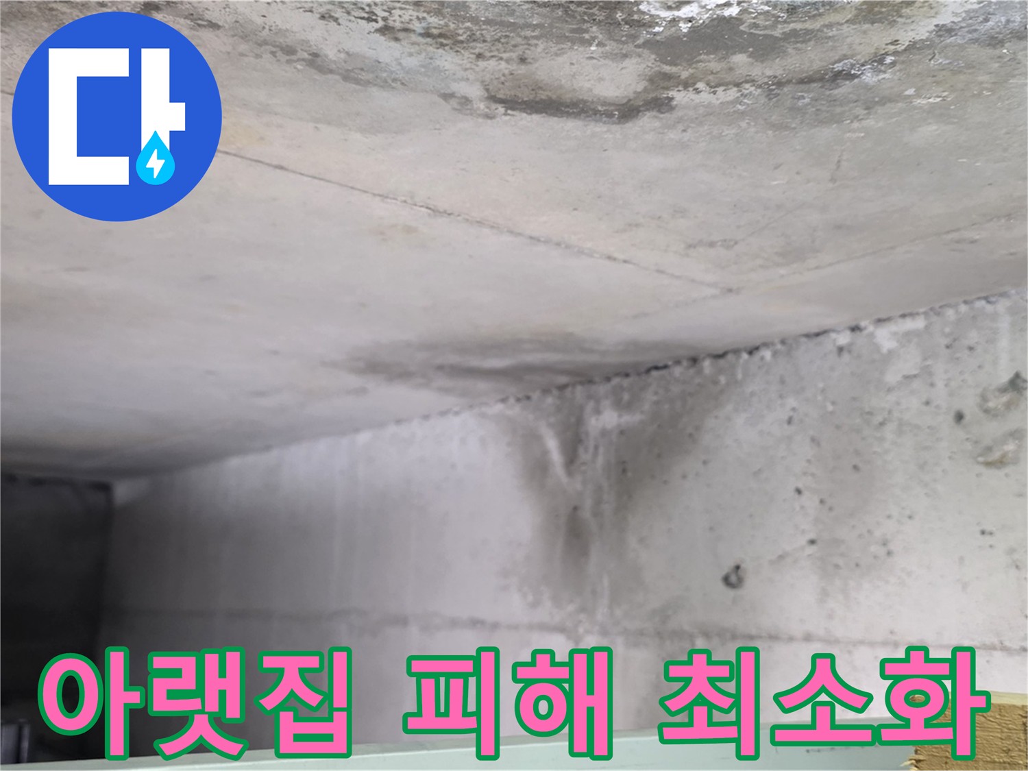 아랫집 천장 누수 피해 사진 - 고양시 덕이동 아파트 누수로 인한 건물 수명 단축 우려