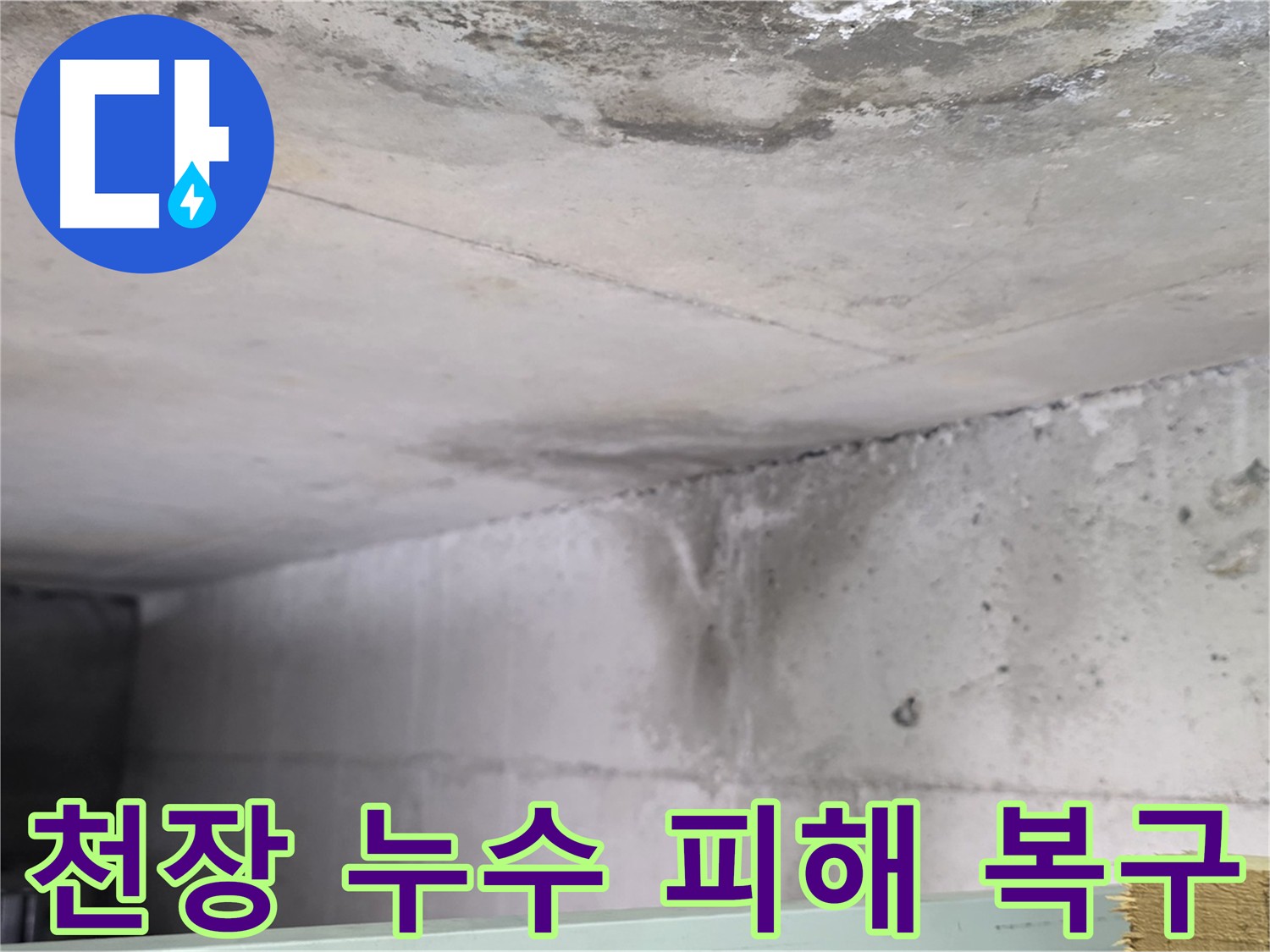 아랫집 천장 물 자국 사진 - 덕이동 아파트 누수로 인한 곰팡이 발생 위험