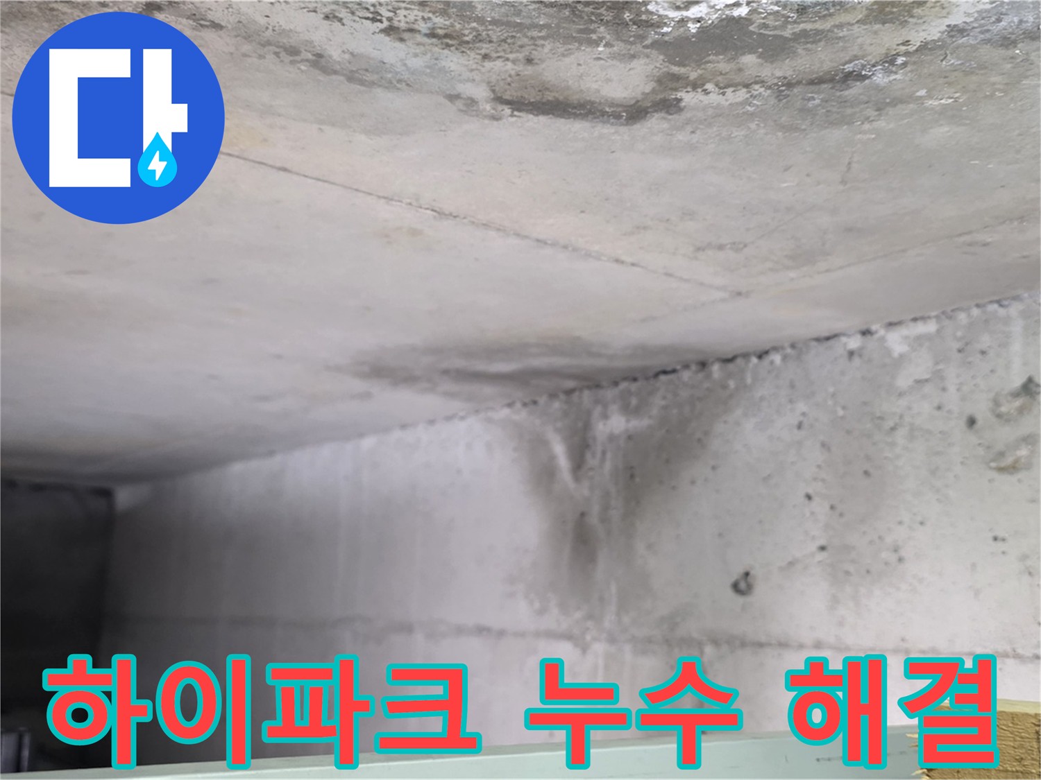 아랫집 천장 누수 흔적 - 덕이동 누수 문제 해결의 중요성